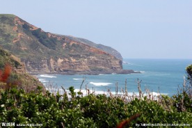 新西兰鸟岛风景