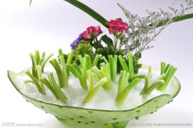 冰镇芥兰