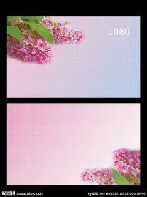 粉紫色名片背景素材