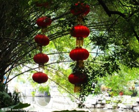 华灯映竹