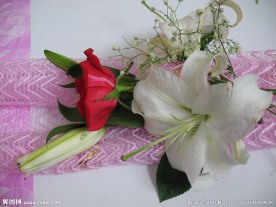 百合玫瑰