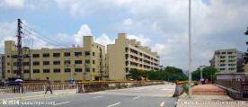 桥梁与建筑