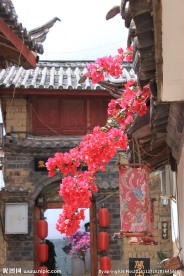 屋檐下的红花