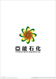 亚能石化公司12版本