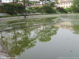 湖水美景