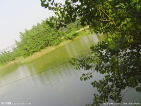 湖水美景