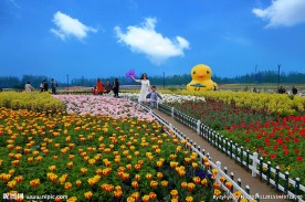 花海