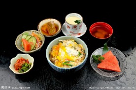 鸡肉盖饭
