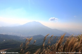 梧桐山