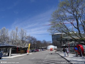 美国首都华盛顿街景