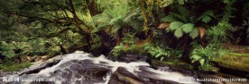 山水风景图片