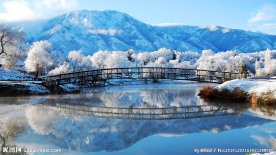 雪景