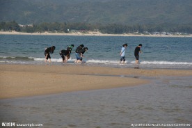 海边玩耍