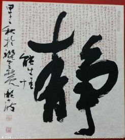 静
