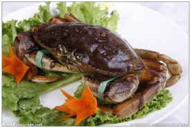 活海膏蟹