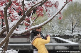 雪后