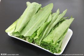 油麦菜