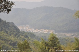 山中风景