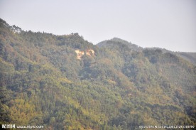 山中风景