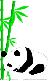 竹下熊猫