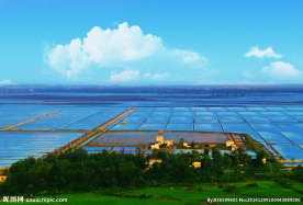 海南莺歌海盐场