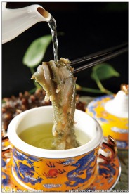 昆布冲浪活海参