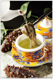 昆布冲浪活海参
