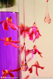 花饰与花艺图片