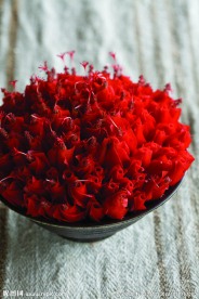 花饰与花艺图片