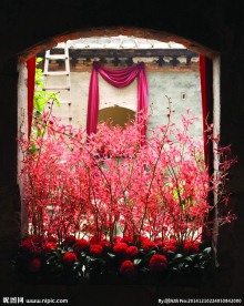 花饰与花艺图片