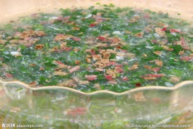 乡味荠菜鸡杂羹