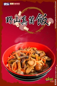 野山真菌饭