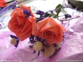 玫瑰花束