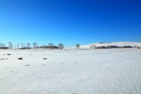 雪地