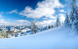 冬季雪景