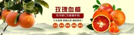 血橙广告