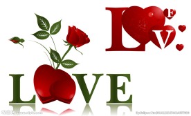 love  爱