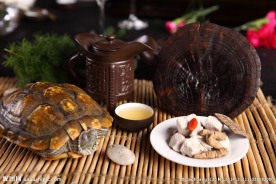 灵芝炖老龟