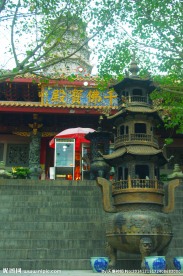 千佛宝殿树荫掠影