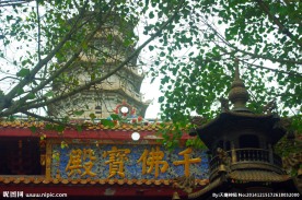 千佛塔树荫掠影