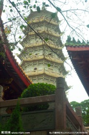 千佛塔间隙透摄