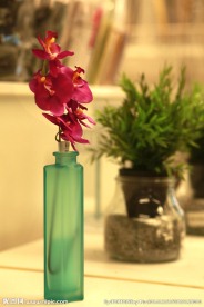瓶花
