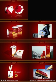 红色高端VI设计模特