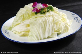 大白菜