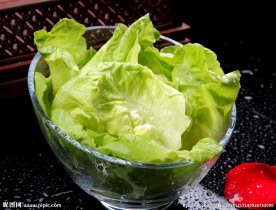 奶油生菜