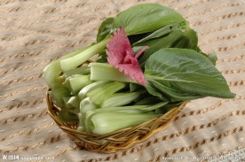 青菜