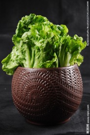 意大利生菜