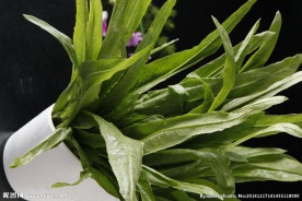 油麦菜