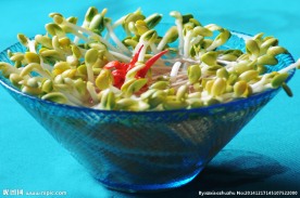 豆芽
