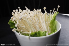 金针菇